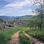 Schoener * Oberharmersbach
