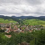 Schoener