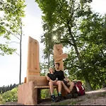 Schoener Apartman Oberharmersbach