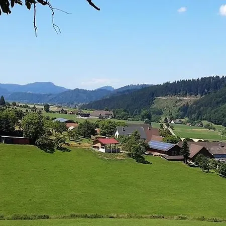 Apartment Schoener Oberharmersbach