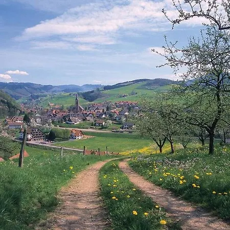 Schoener Oberharmersbach