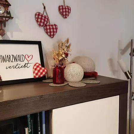 Schoener Apartment Oberharmersbach