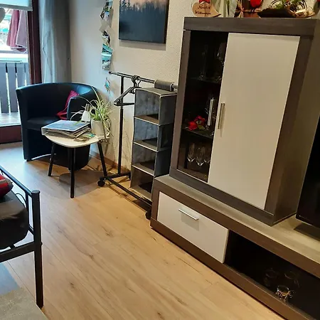 Schoener Apartment Oberharmersbach