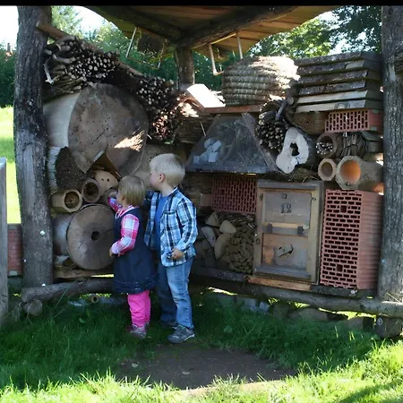 Schoener Apartman Oberharmersbach